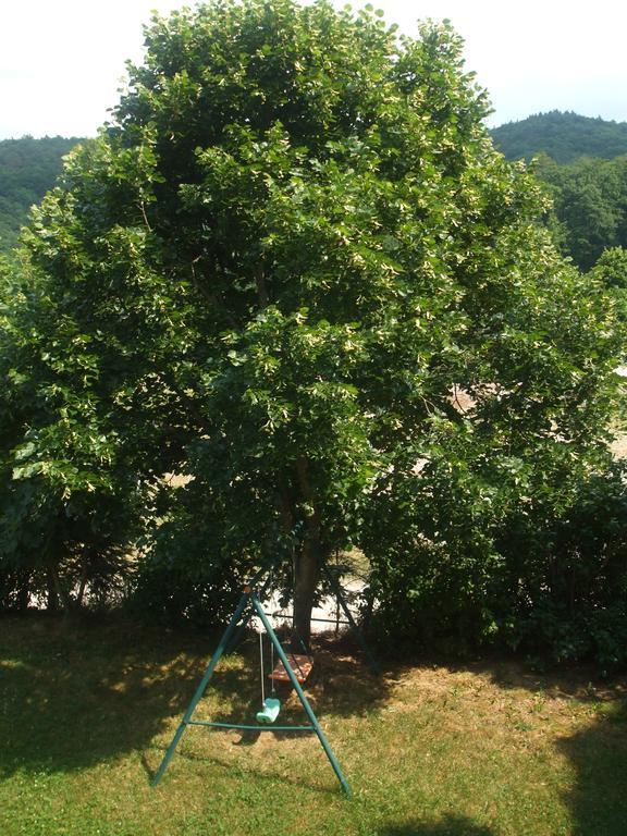 Osterija Na Planinci Bed & Breakfast Divača Dış mekan fotoğraf